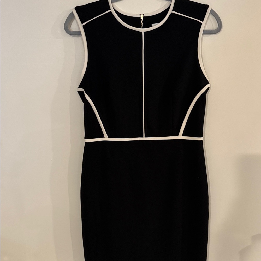 Calvin Klein Black Dress with White Accents